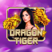 Dragon Tiger on phspin app login