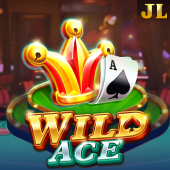 Wild Ace on phspin app login